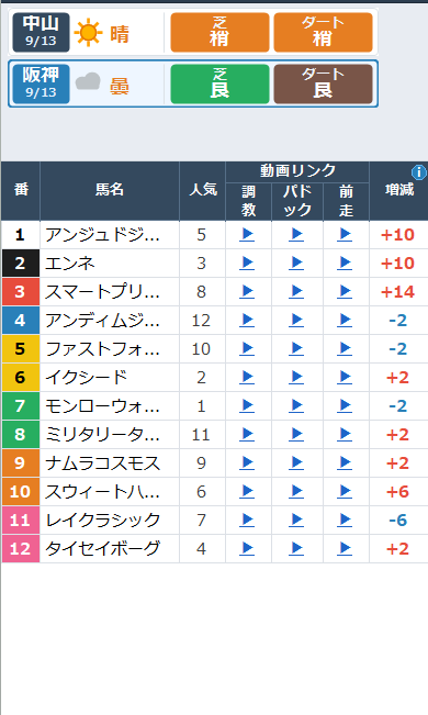 JRAレーシングビュアー動画連動 画面